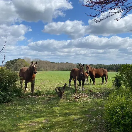 Domaine Hias לינה וארוחת בוקר 3*